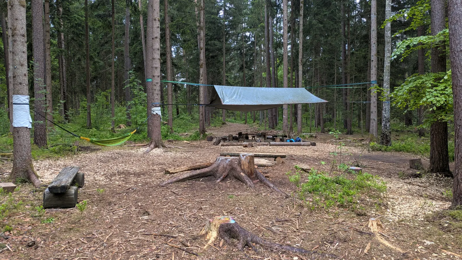 Hängematte und Sitzplatz am Waldplatz