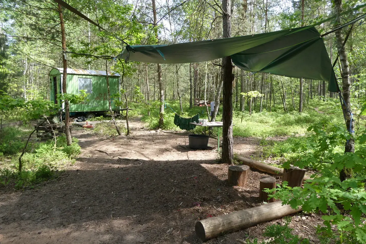 Unser Waldplatz im sommerlichen Grün