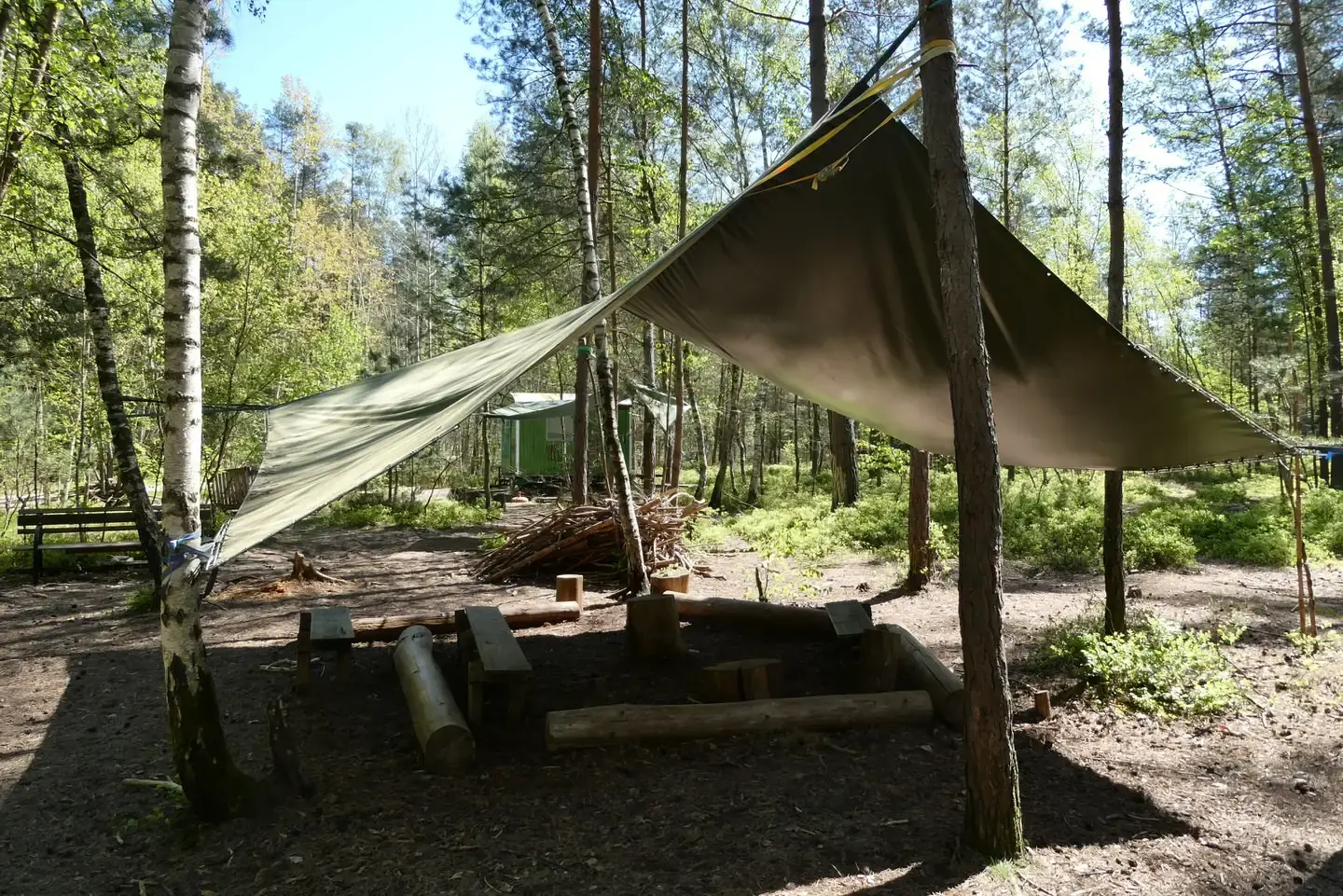 Unser Waldplatz mit Sonnensegel zwischen Birken und Kiefern
